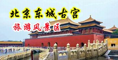 男人操女人的大鸡巴免费看中国北京-东城古宫旅游风景区